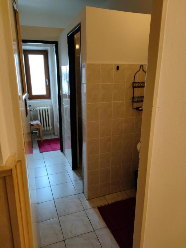 Penzion Sumava - Apartman Horni Plana Exterior photo